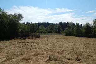 23347 Alsea Hwy, Philomath, OR 97370 - Photo 12