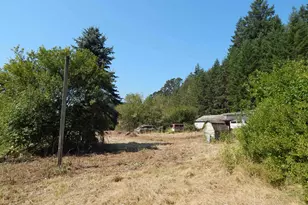 23347 Alsea Hwy, Philomath, OR 97370 - Photo 24