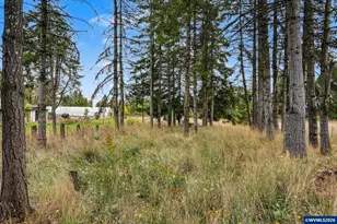 3193 Jefferson Marion Rd SE, Jefferson, OR 97352 - Photo 40