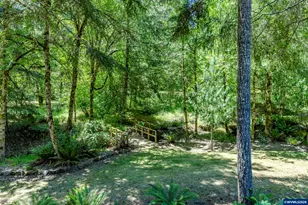 29877 Bartels Creeks Dr, Lebanon, OR 97355 - Photo 46