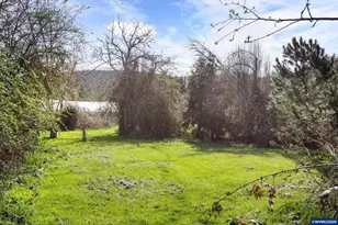 993 42nd Ave, Sweet Home, OR 97386 - Photo 22