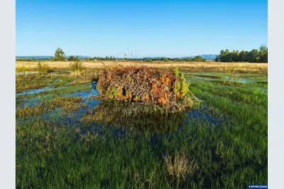 Duckflat (Tax Lot:092W160001200) Rd, Turner, OR 97392 - Photo 10