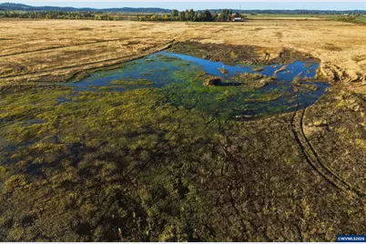Duckflat (Tax Lot:092W160001200) Rd, Turner, OR 97392 - Photo 2
