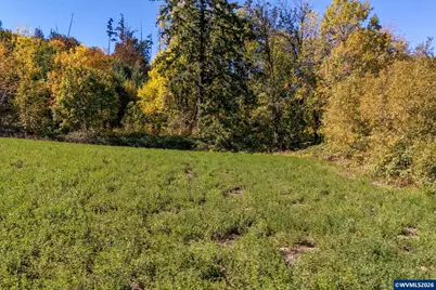 0 SE Lafayette Hwy, Dayton, OR 97114 - Photo 6