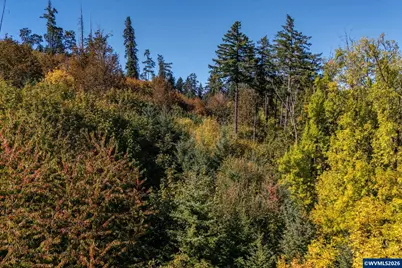 0 SE Lafayette Hwy, Dayton, OR 97114 - Photo 8