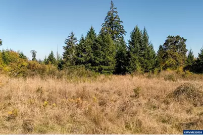 0 SE Lafayette Hwy, Dayton, OR 97114 - Photo 30