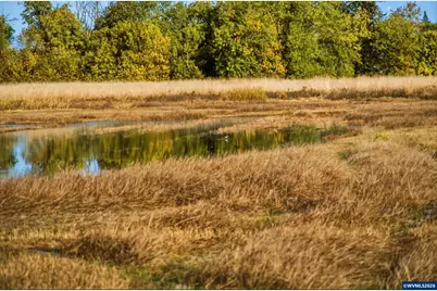 Duckflat (Tax Lot:092W210000900) Rd, Turner, OR 97392 - Photo 24