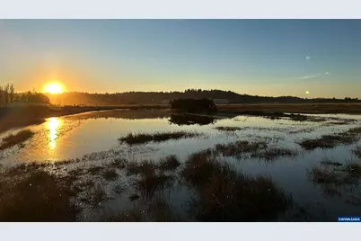 Duckflat (Tax Lot:092W210000900) Rd, Turner, OR 97392 - Photo 12