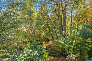 1401 W Ellendale #34 Av, Dallas, OR 97338 - Photo 40