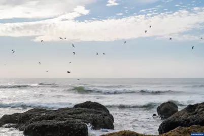 Ne Washington St, Yachats, OR 97498 - Photo 30