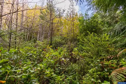 Ne Washington St, Yachats, OR 97498 - Photo 20