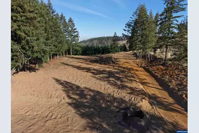 12500 S Groshong Rd, Molalla, OR 97038 - Photo 8