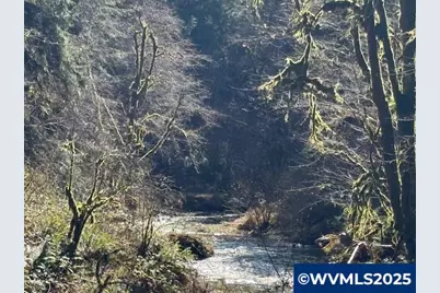 0 Logsden Rd, Blodgett, OR 97326 - Photo 1