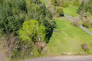 220 21st (Next To Lot #3900) Av, Sweet Home, OR 97386 - Photo 1