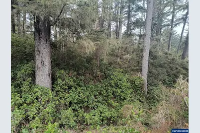 Cape Kiwanda Dr, Pacific City, OR 97135 - Photo 1