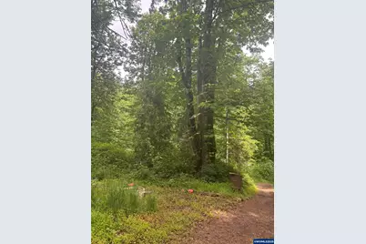 4360 Silver Falls NE Dr NE, Silverton, OR 97381 - Photo 1