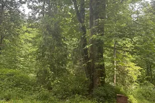 4360 Silver Falls NE Dr NE, Silverton, OR 97381 - Photo 1