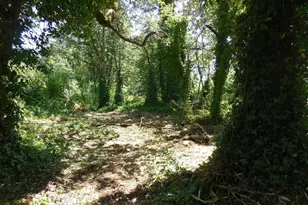 Tax Id#0011235 NW High St, Mill City, OR 97360 - Photo 1