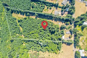 20131 SE Bridge Creek Rd, Silverton, OR 97381 - Photo 1