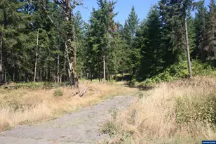 3647 Briar Knob Lp, Scotts Mills, OR 97375 - Photo 1