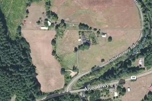 Unassigned Fish Hatchery Rd, Alsea, OR 97324 - Photo 1