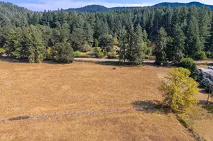 Next To 26140 Alsea Deadwood Hwy, Alsea, OR 97324 - Photo 1