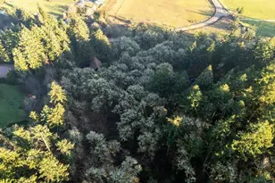 Lot 1100 Behind 5000 Crescent Valley Dr, Corvallis, OR 97330 - Photo 1