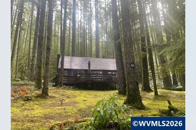 65 B Stahlman Forest Service 049 Rd, Detroit, OR 97346 - Photo 1