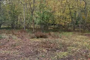 Ta 0400362 Mountain Home Dr, Brownsville, OR 97327 - Photo 1