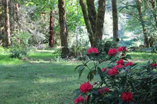 26809 Cecil Ln, Alsea, OR 97324 - Photo 1