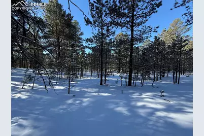 8235 Bar X Terrace, Colorado Springs, CO 80908 - Photo 1