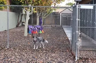 1461 E Cherry St, Cottonwood, AZ 86326 - Photo 14