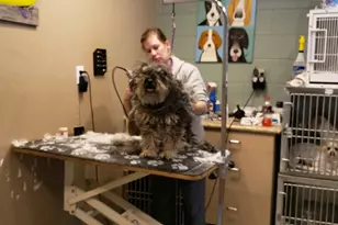 1461 E Cherry St, Cottonwood, AZ 86326 - Photo 12