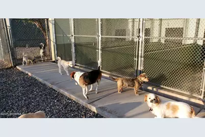 1461 E Cherry Street, Cottonwood, AZ 86326 - Photo 8