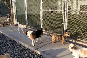 1461 E Cherry St, Cottonwood, AZ 86326 - Photo 8