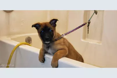 1461 E Cherry Street, Cottonwood, AZ 86326 - Photo 6