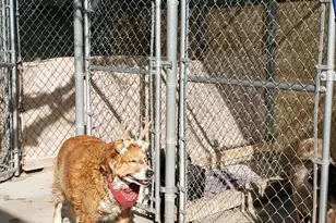 1461 E Cherry St, Cottonwood, AZ 86326 - Photo 16