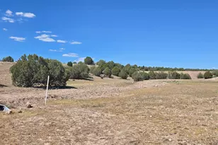 59A W Pasture Ln, Prescott, AZ 86305 - Photo 1