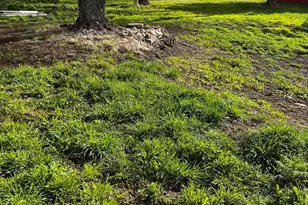 3405 S Silver Rd, Camp Verde, AZ 86322 - Photo 6