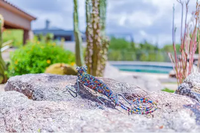 8193 E Sand Flower Drive, Scottsdale, AZ 85266 - Photo 82