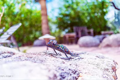 8193 E Sand Flower Drive, Scottsdale, AZ 85266 - Photo 88