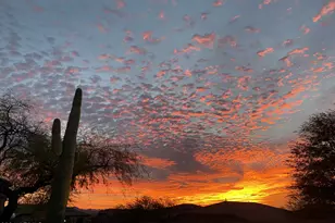 16715 N 108th Way, Scottsdale, AZ 85255 - Photo 12