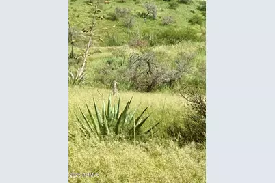 Tbd Hannon Ranch Lane #110-51-013-B9, Bisbee, AZ 85603 - Photo 12