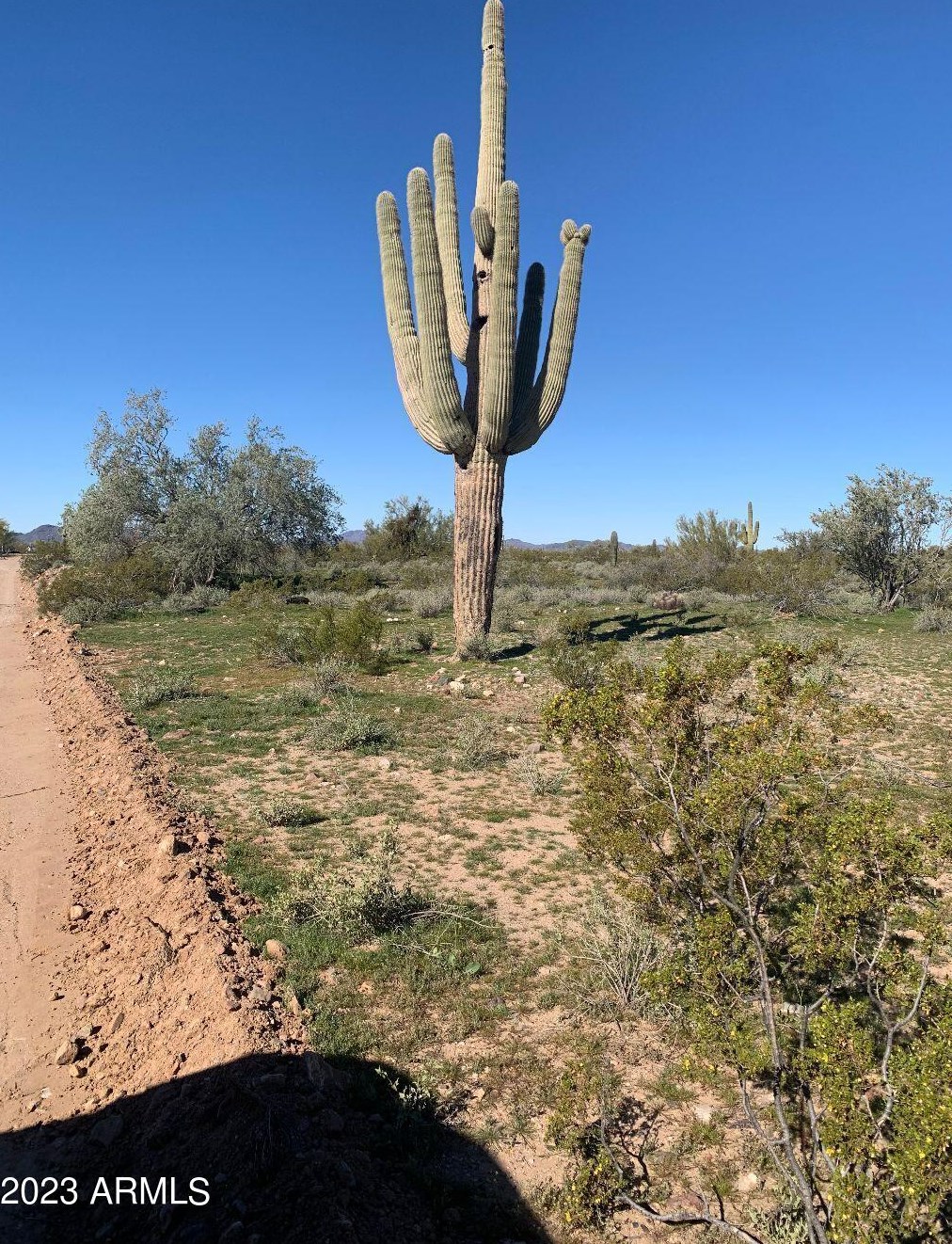 Xxxxx W Joy Ranch Road Rd #-, Morristown, AZ 85342 - MLS 6451067 - Coldwell  Banker