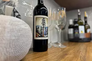 2968 East Agritopia Loop N, Gilbert, AZ 85296 - Photo 26