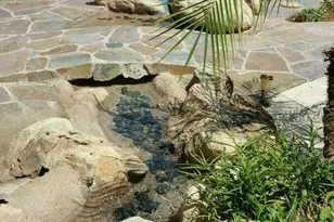 10100 N 78th Pl, Scottsdale, AZ 85258 - Photo 42