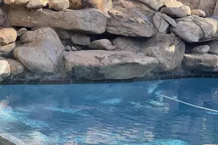 10100 N 78th Pl, Scottsdale, AZ 85258 - Photo 34