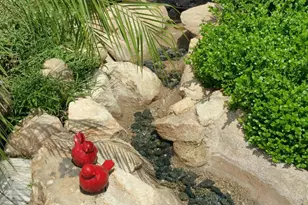 10100 N 78th Pl, Scottsdale, AZ 85258 - Photo 10