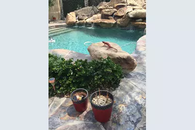 10100 N 78th Place, Scottsdale, AZ 85258 - Photo 2