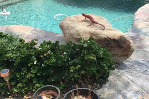 10100 N 78th Pl, Scottsdale, AZ 85258 - Photo 2